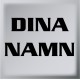 Dina namn T12